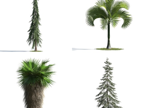  现代树 风景树 现代灌木 绿化 景观树 花树3d模型 