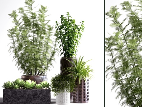  现代绿植 盆栽 植物 盆景 花瓶 饰品 摆件3d模型 