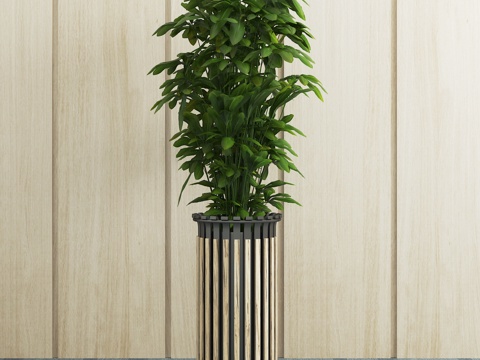 现代植物 盆栽 绿植3d模型 