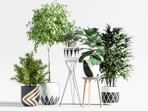  现代绿植 盆景 盆栽 植物 花盆 花架 树 摆件3d模型 