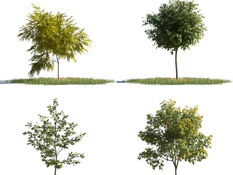  现代树 风景树 现代灌木 绿化 景观树 花树3d模型 