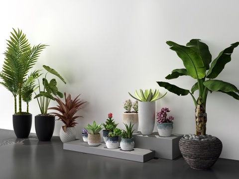  北欧装饰植物3d模型 