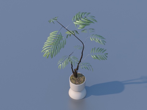  花盆 盆栽 绿植 植物3d模型 