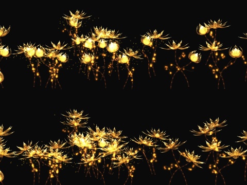  金莲花 莲花 荷花 花开动画 花绽放 花绽放动画3d模型 