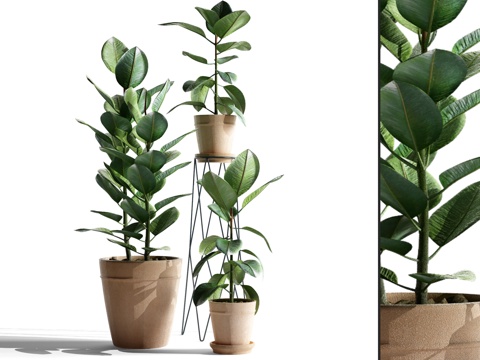  现代绿植 盆栽 盆景 植物 花盆 花瓶 饰品 摆件3d模型 