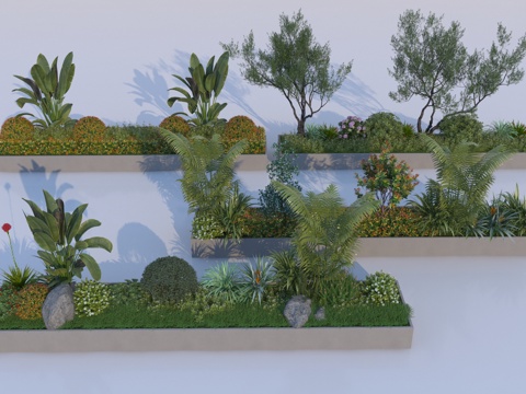  现代植物组合3d模型 
