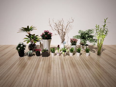  植物盆栽3d模型 