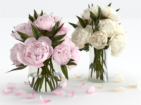  牡丹花束3d模型 