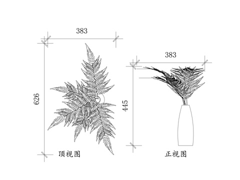  蕨类花艺 蕨叶插花 绿蕨插花 蕨类花束 蕨叶花艺cad施工图 