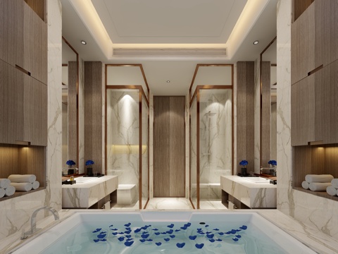  现代酒店卫生间 卫生间 浴缸3d模型 