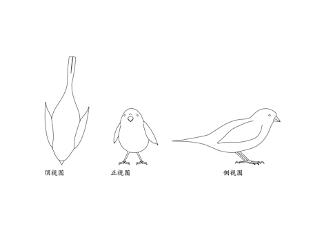  麻雀 家雀 老家贼 雀儿 麻雀cad施工图 