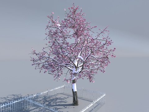  树 景观树 腊梅 冬季树 花树 公园树 植物 梅花3d模型 