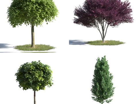  现代树 风景树 现代灌木 绿化 景观树 花树3d模型 