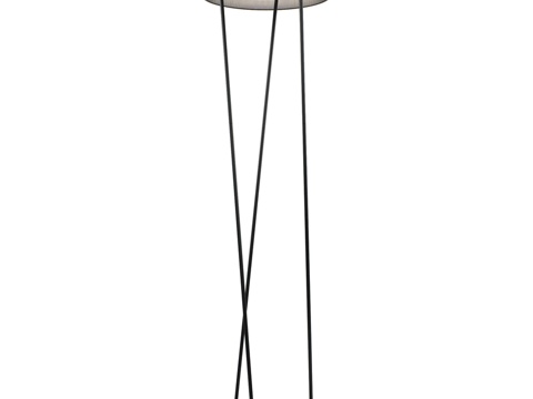  Lumion 8370-30FL3d模型 