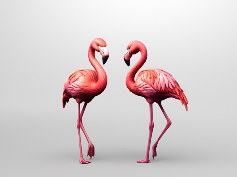  粉红火烈鸟3d模型 