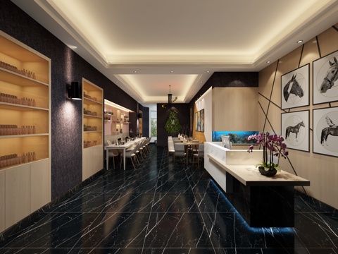  现代美甲店和桑拿房3d模型 