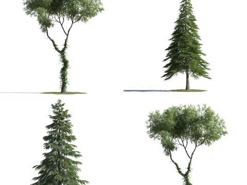  现代树 风景树 现代灌木 绿化 景观树 花树3d模型 