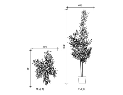  盆竹 观赏竹盆景 室内盆栽竹 竹盆景 盆栽竹cad施工图 