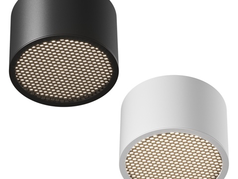  Glare GX53 x 12W 天花灯3d模型 