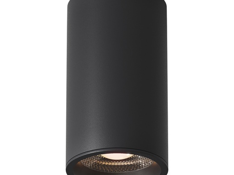  安卡德吸顶灯具3d模型 