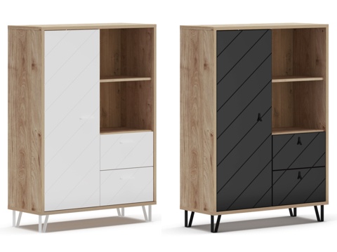  带抽屉单门柜 Agira3d模型 