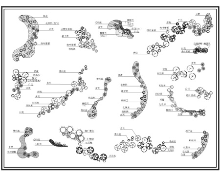 树木种植配置cad施工图