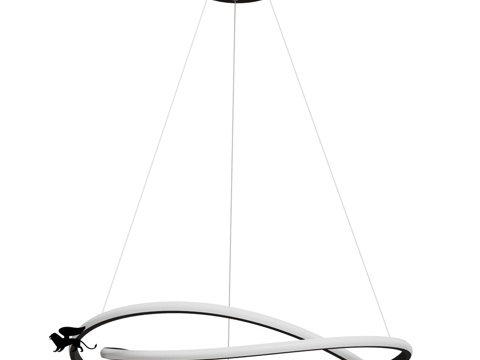  ARTE灯具OM A2522SP-2BK3d模型 