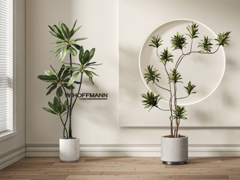  现代盆栽3d模型 