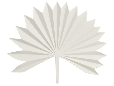  棕榈叶壁灯，30x24厘米，白色3d模型 