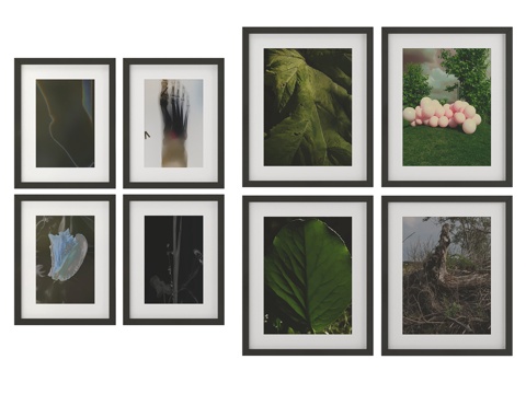  OM室内绘画 摄影人类 073d模型 