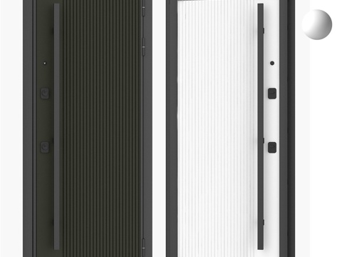  Techno 02饰面Guardian入户门3d模型 