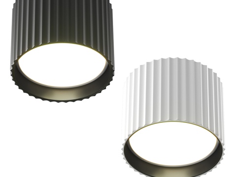 卡利普索GX53 12W吸顶灯3d模型