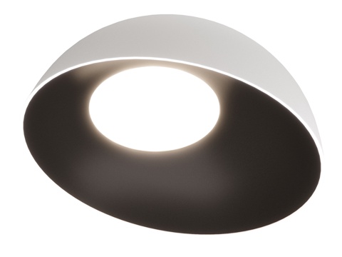  天花板灯 10197 350 LOFT IT 蛋形3d模型 