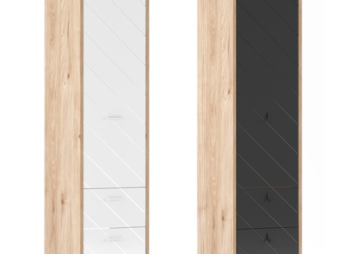  带抽屉单门衣柜阿吉拉3d模型 