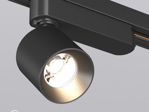  OM灯具 LGD-DYKE-2TR-R60-8W3d模型 