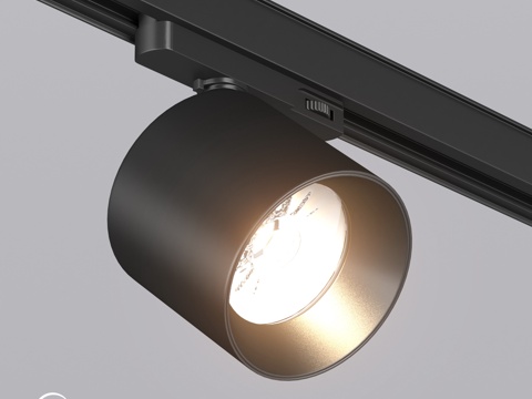  OM Lamp LGD-DYKE-4TR-R100-36W3d模型 