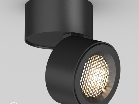  OM灯具 SP-POINT-平面灯-R85-12W3d模型 