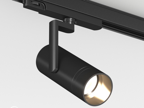  OM LGD-ARTIFACT-4TR 带防眩光附件的灯具3d模型 