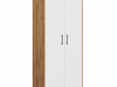  OM衣柜DIWO科斯特罗马80x191x52厘米双门款3d模型 