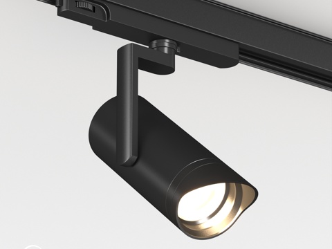  OM LGD-ARTIFACT-4TR 带防眩光附件的灯具3d模型 