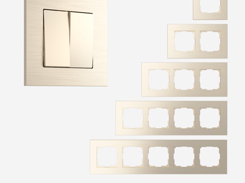  适用于插座和开关的拉丝铝制OM框架3d模型 