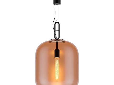  吊灯 Favorite 4264-1P3d模型 