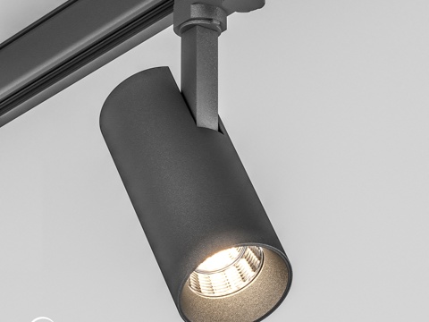  OM灯具 SP-POLO-轨道-立柱-R65-8W3d模型 