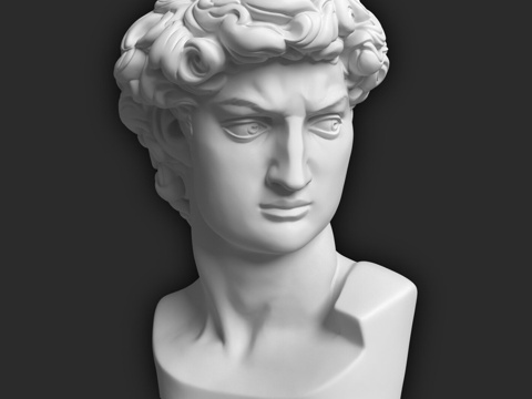  迪卡特大卫头像 446x313x296mm3d模型 