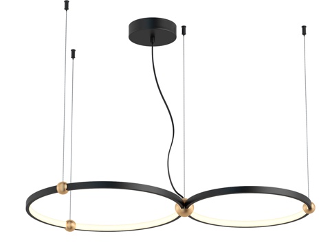  吊灯 精选 4569-2P3d模型 