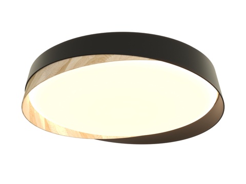  Citilux BONNY CL75435x 带遥控器的LE3d模型 