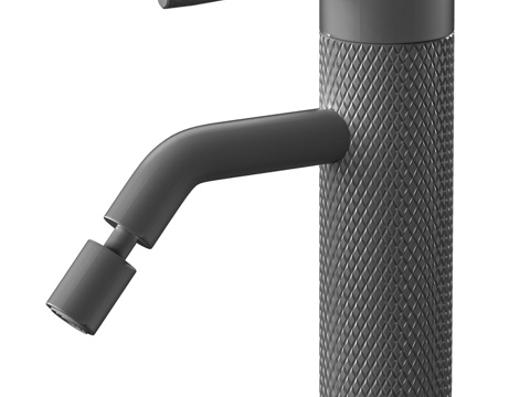  艾伦布劳优先4.0系列5.31С04-MG灰色坐便器龙头3d模型 