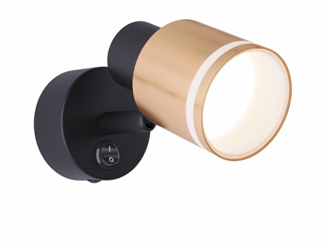  Citilux Bruno CL56551X 旋转射灯3d模型 