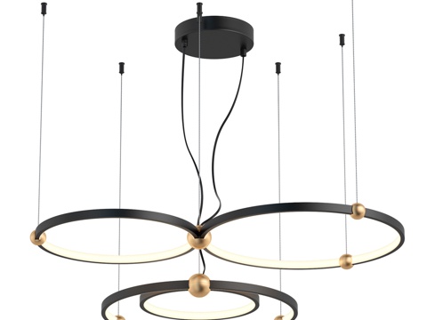  吊灯 精选 4569-4P3d模型 