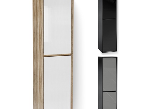  双门壁柜（纵向）玻璃款3d模型 